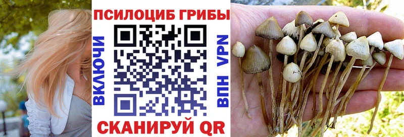 Псилоцибиновые грибы GOLDEN TEACHER  Усть-Илимск 