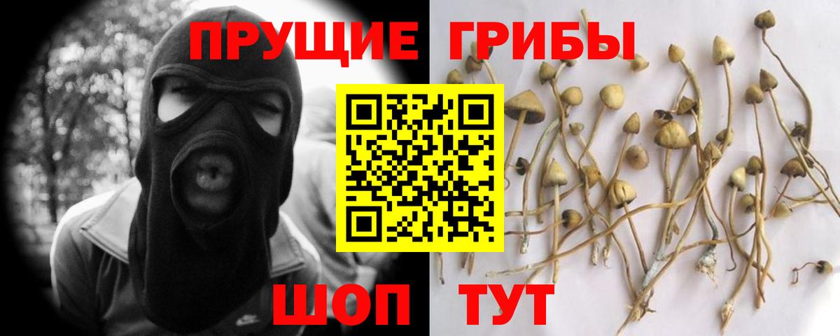 Галлюциногенные грибы мицелий Усть-Илимск